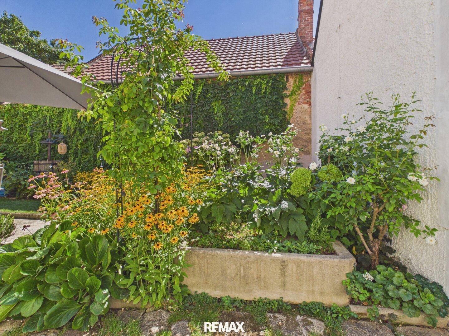 Blühender Gartenbereich mit verschiedenen Pflanzen und einem Hochbeet, sonniger Standort.