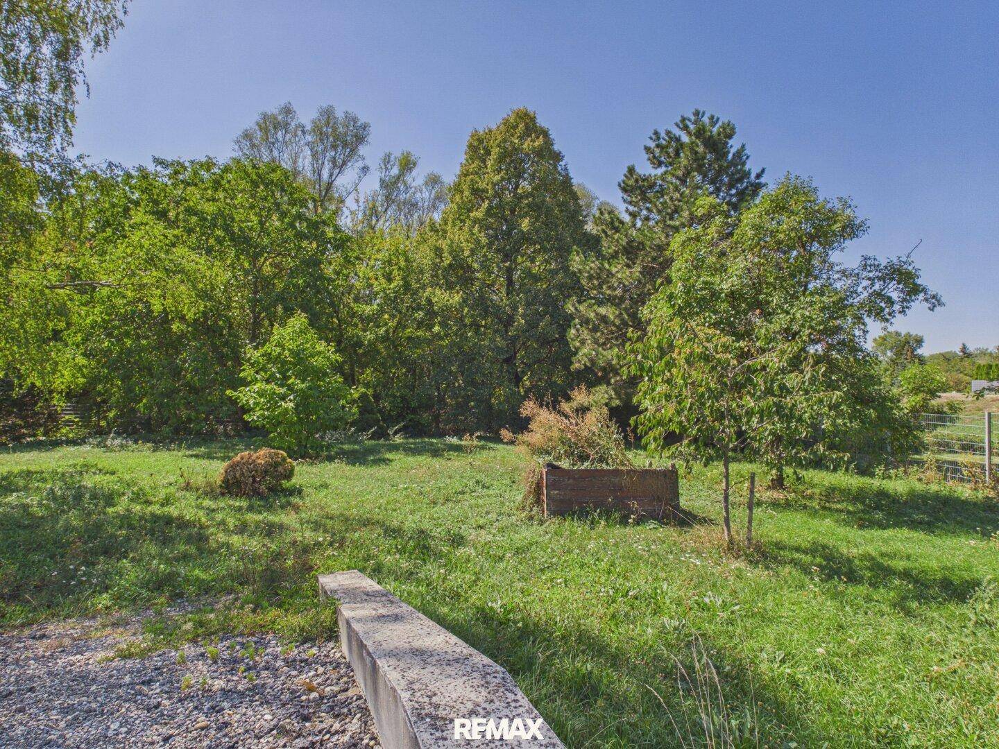 Weitläufiger Gartenbereich mit Bäumen und viel Grün unter blauem Himmel.