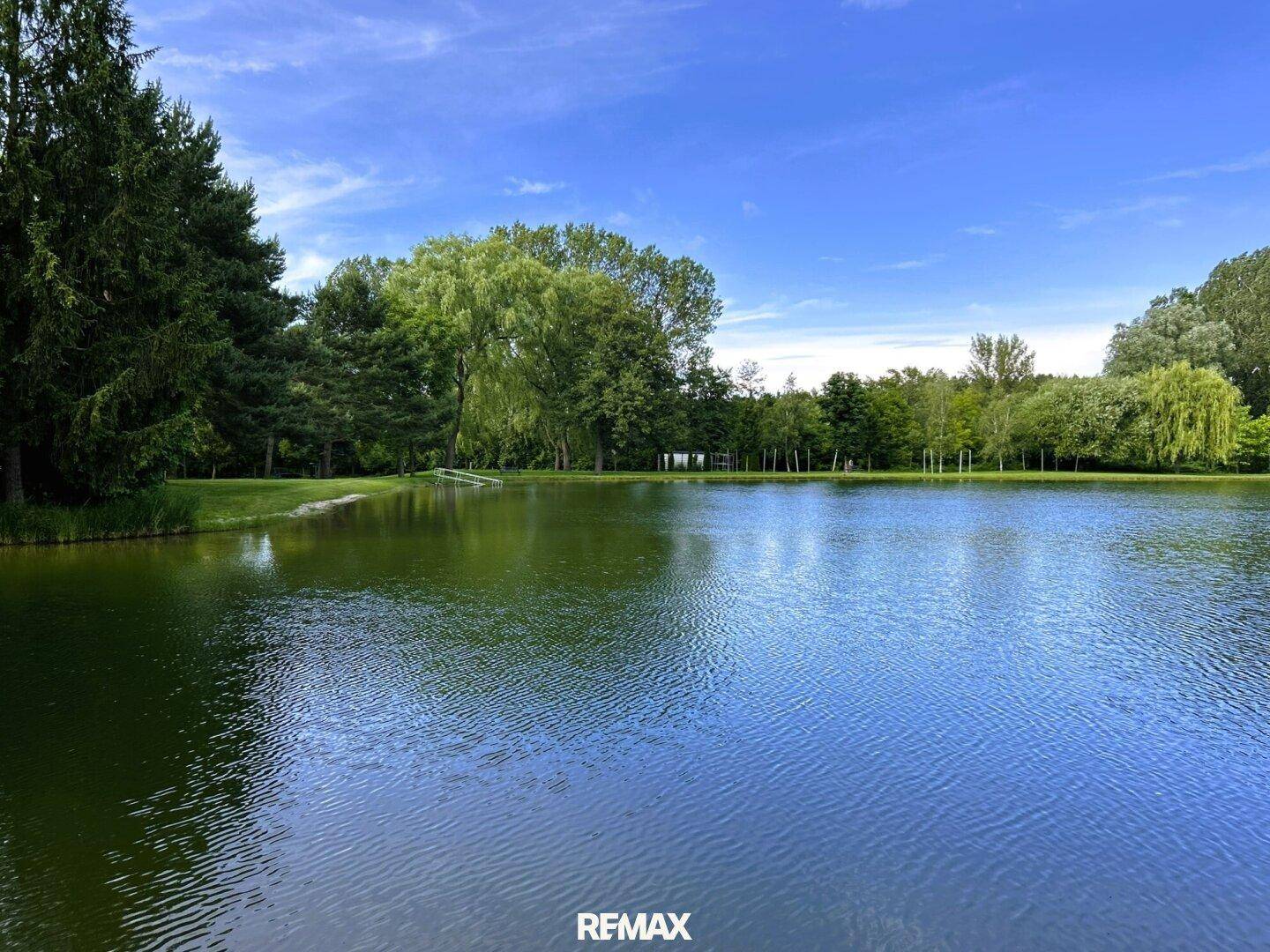 Malerischer See umgeben von Bäumen und grüner Natur unter einem klaren blauen Himmel.