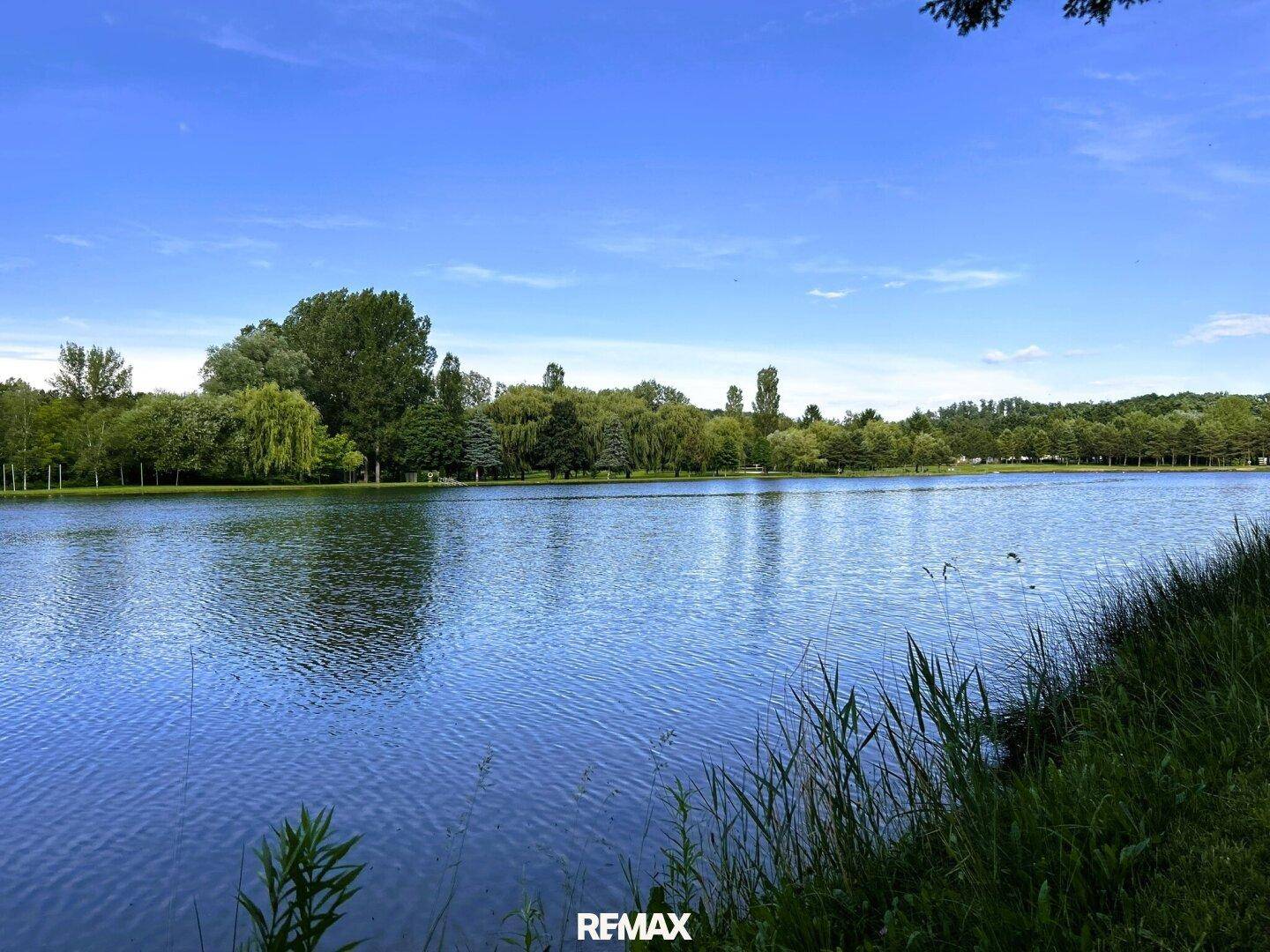 Weitläufiger Blick über einen ruhigen See mit bewaldeten Ufern und blauem Himmel.