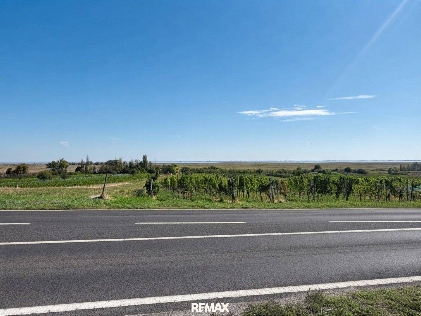 Straße neben einem Weinberg und weiten Feldern unter einem strahlend blauen Himmel.