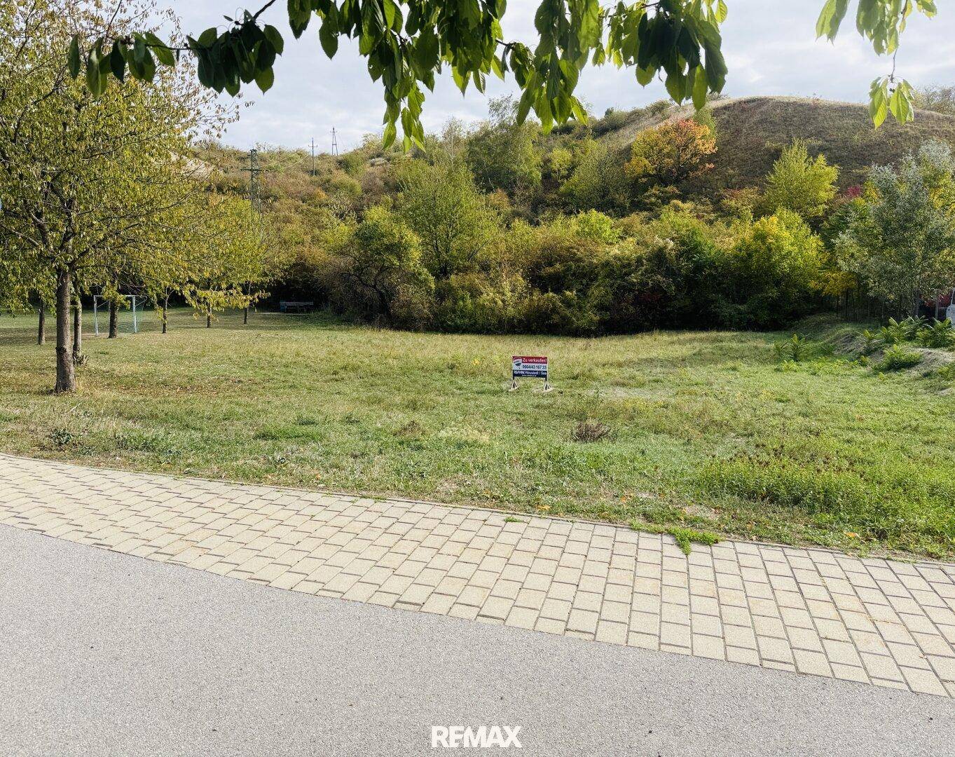 Grundstück mit Grasfläche, Bäumen und einem gepflasterten Weg, umgeben von Natur.
