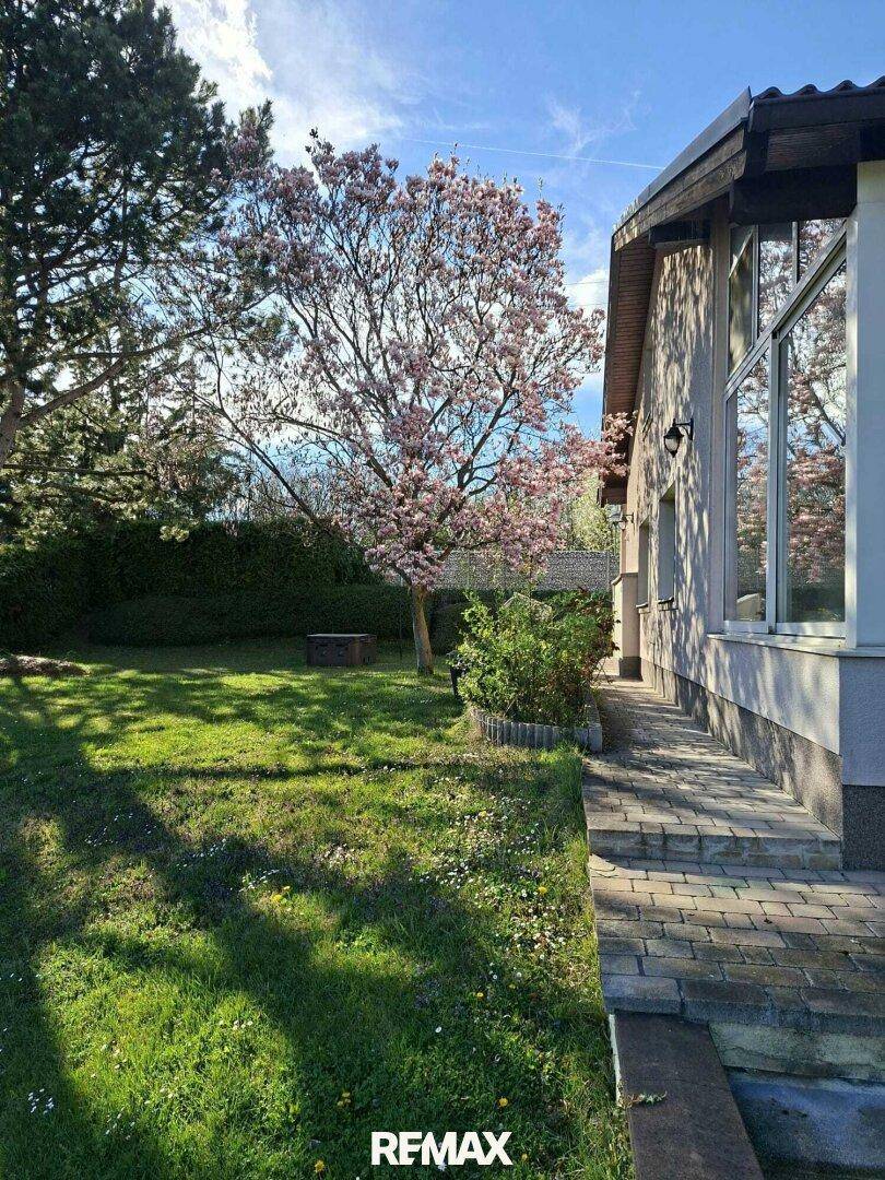 Blühender Garten mit Magnolienbaum und Rasenfläche neben dem Haus.