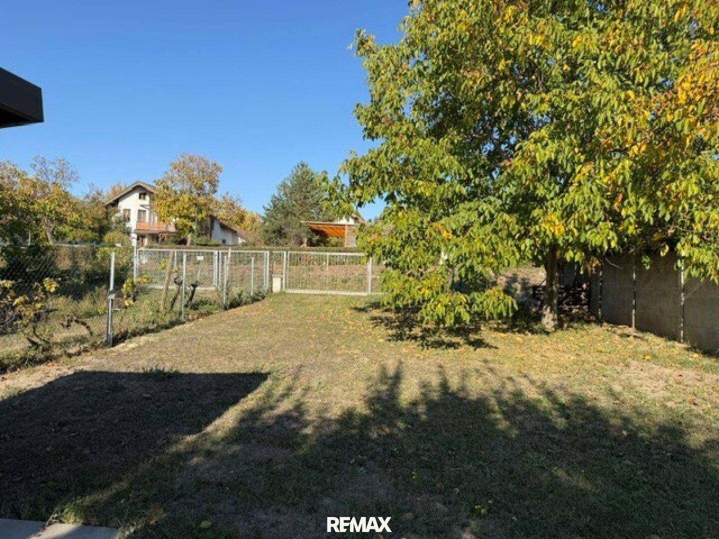 Gepflegter Gartenbereich mit Rasenfläche und altem Baum, umgeben von einem Zaun und Häusern.