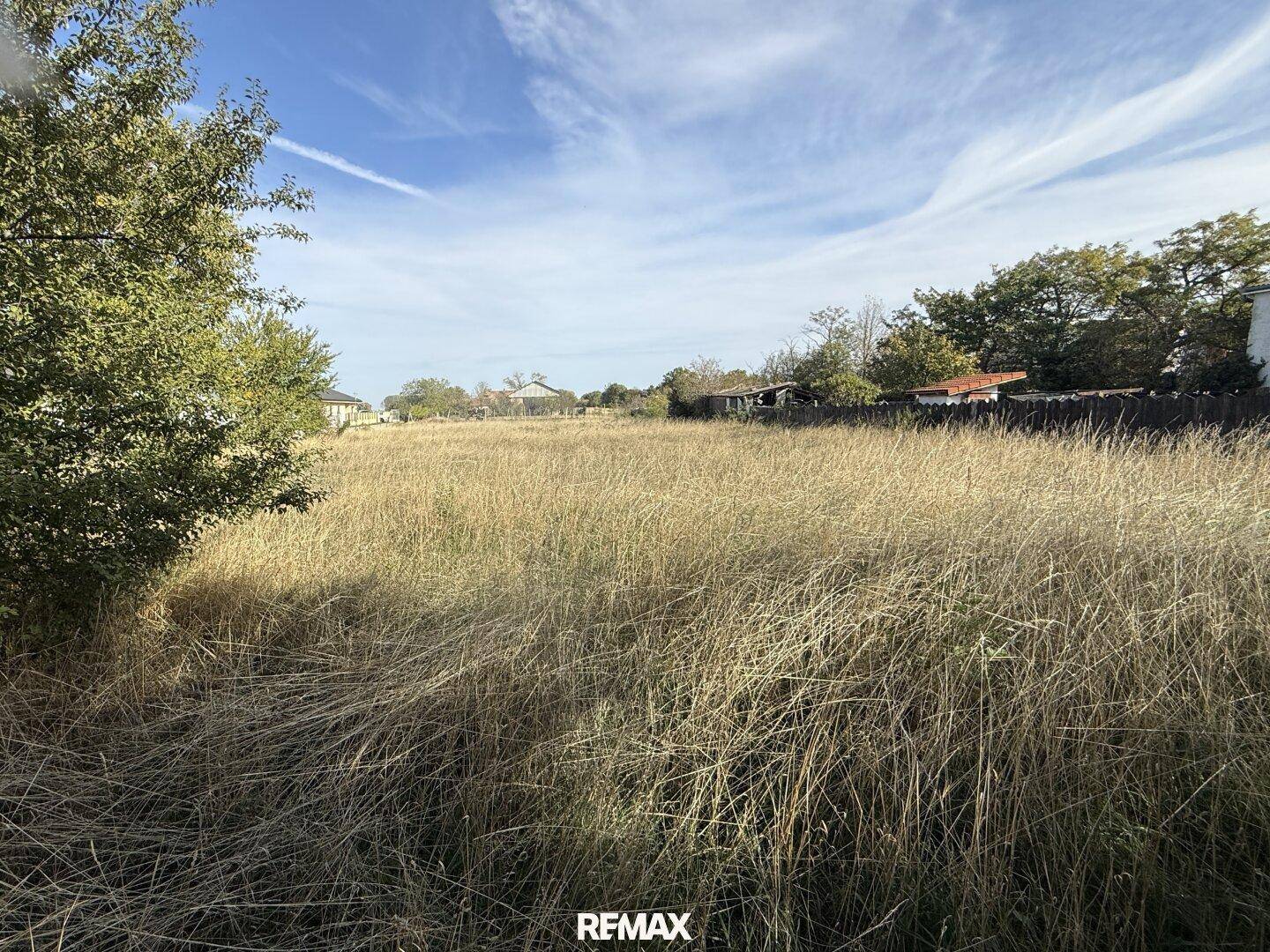 Weitläufiges, sonniges Grundstück mit hohem, trockenem Gras und Häusern in der Ferne.