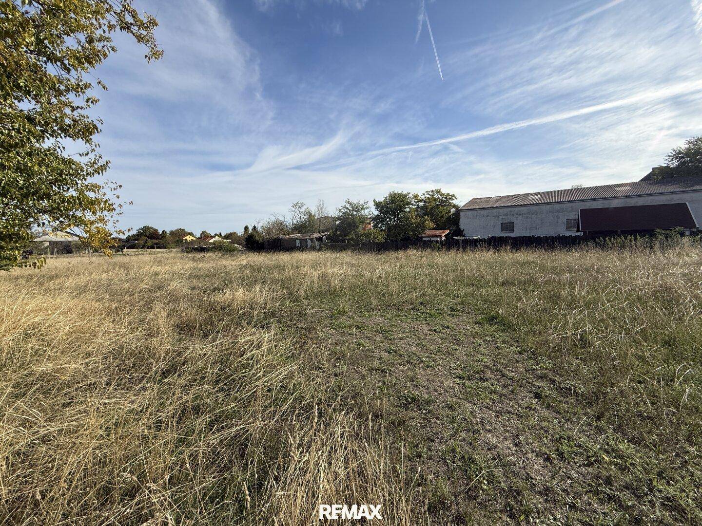 Großes, sonniges Feld mit trockenem Gras und Gebäuden am Horizont unter blauem Himmel.