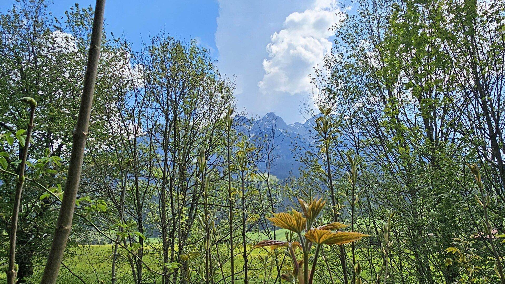 Ausblick EG zum Kaisergebirge, Grundstück mit Altbestand und Freizeitwohnsitz, Rettenschöß