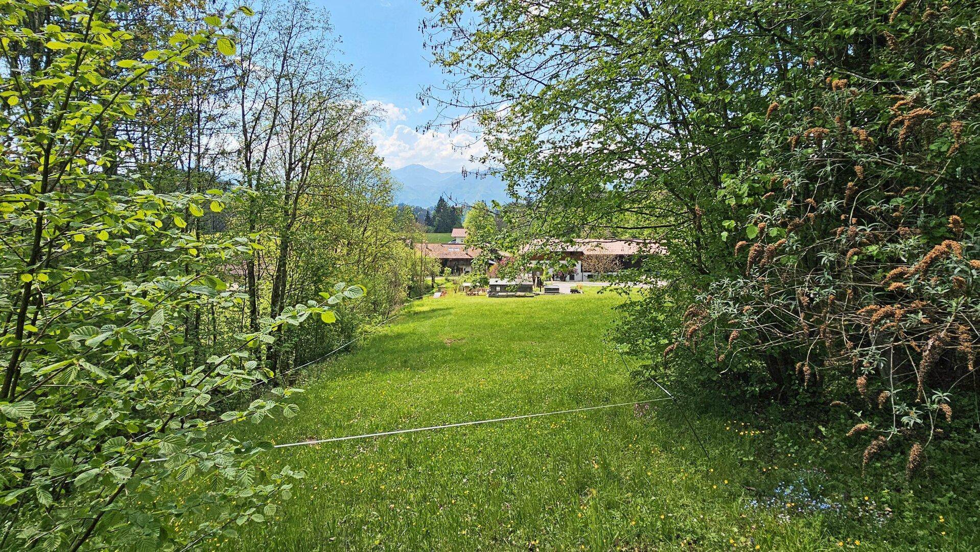 Ausblick von der Terrasse Westen mit Bergblick, Grundstück mit Altbestand und Freizeitwohnsitz, Rettenschöß