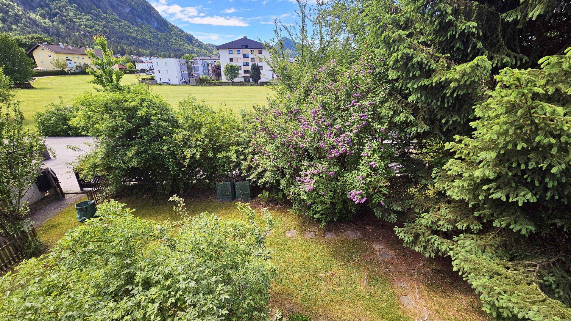 Grüner Gartenbereich mit Rasen, Büschen und Bäumen, im Hintergrund sind Berge sichtbar.