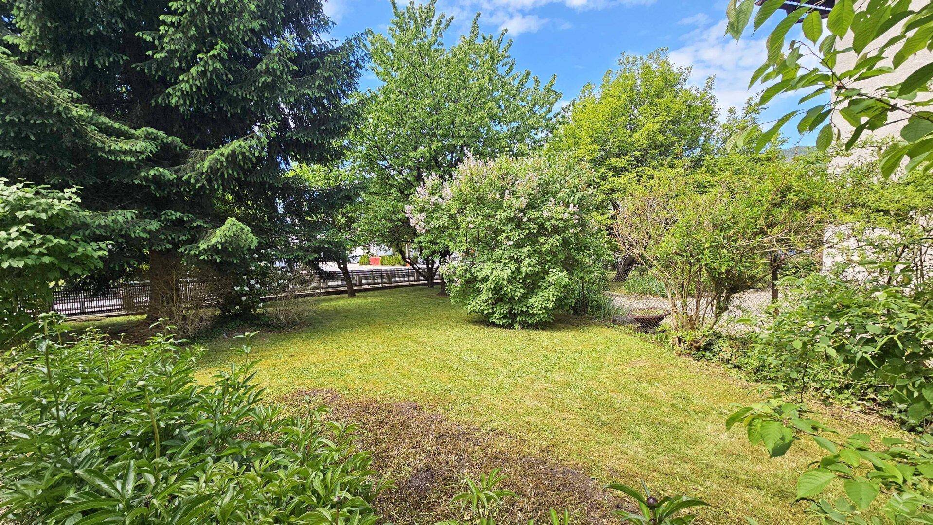 Gepflegter Rasenbereich im Garten, umgeben von üppigem Grün und verschiedenen Sträuchern.