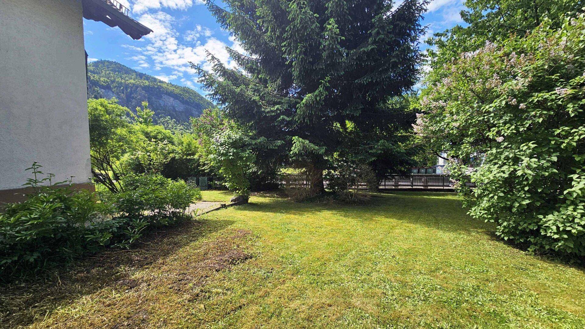 Sonniger Garten mit großem Nadelbaum und Blick auf die umliegende Berglandschaft.