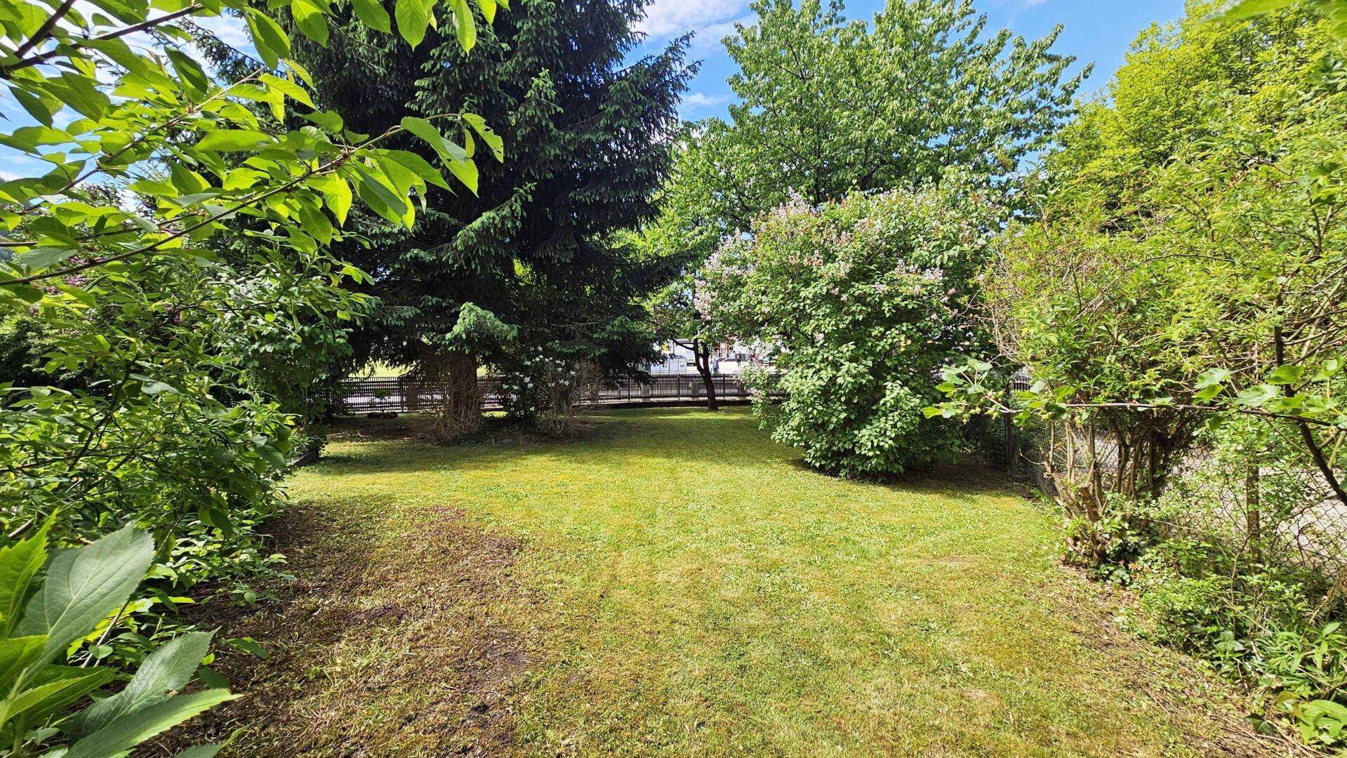 Heller Gartenbereich mit Rasenfläche und vielfältiger Bepflanzung unter blauem Himmel.
