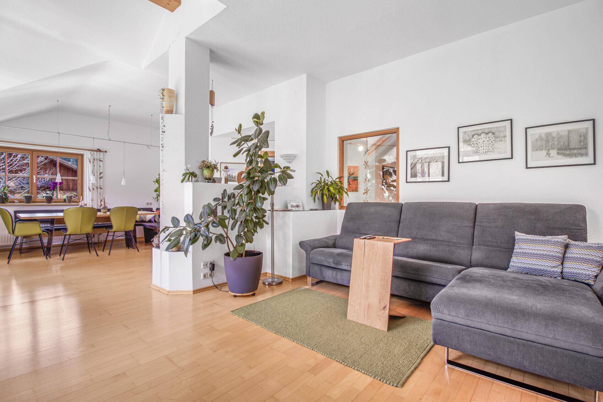 Geräumiger Wohnbereich mit bequemer Couch, Pflanzen und offenem Übergang zum Essbereich.