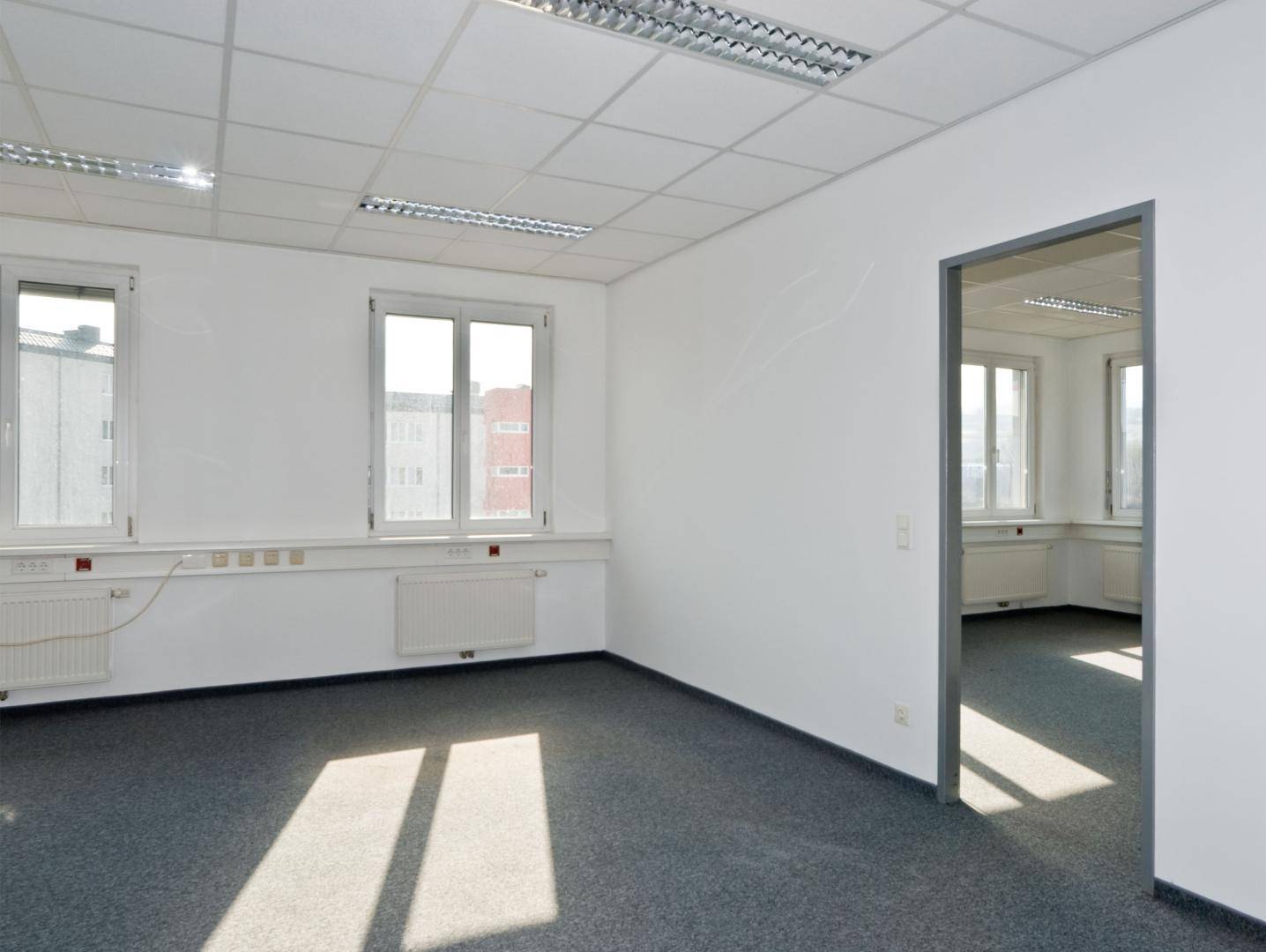 Großes, helles Büro mit Teppichboden und natürlichem Lichteinfall durch mehrere Fenster.