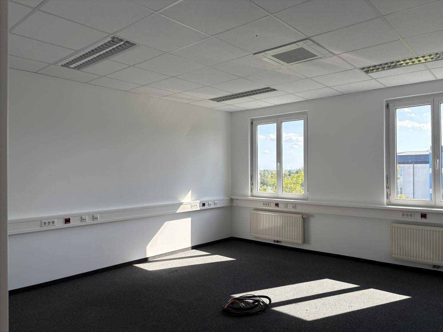 Helles Büro mit Teppichboden und mehreren Fenstern, die viel Tageslicht in den Raum lassen.