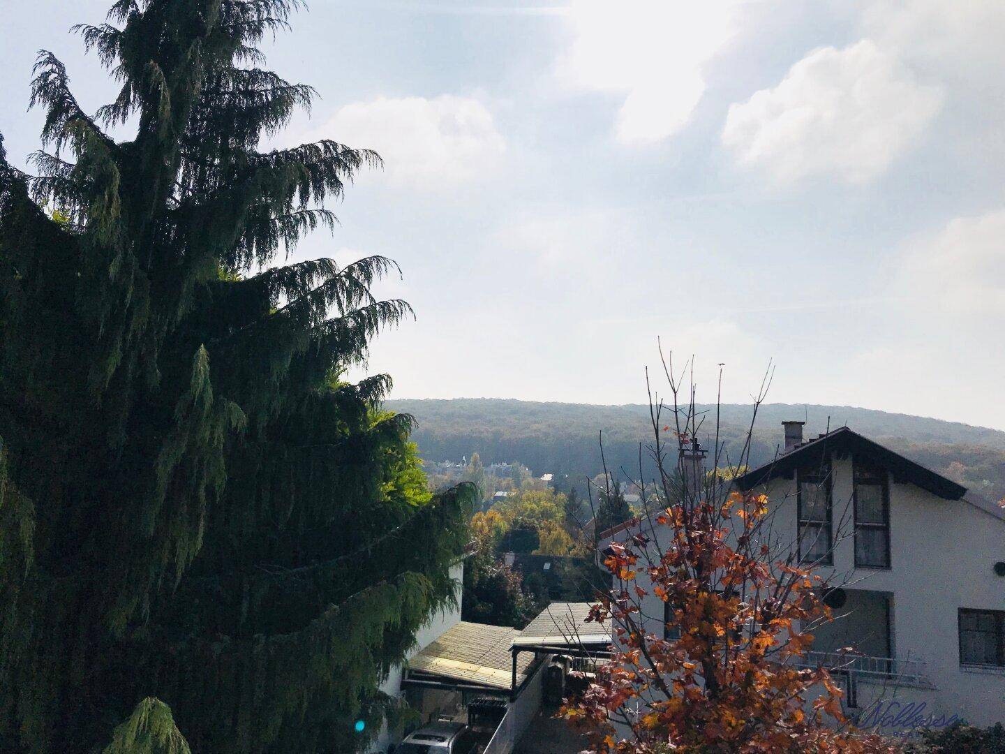 Weitläufiger Blick über die grüne Landschaft und umliegende Häuser.