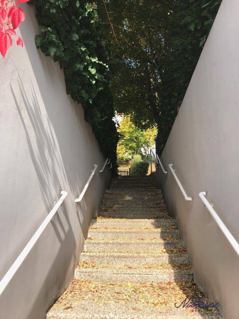Steintreppe mit Handläufen, umgeben von hohen Mauern und Bäumen, führt zum Eingang.