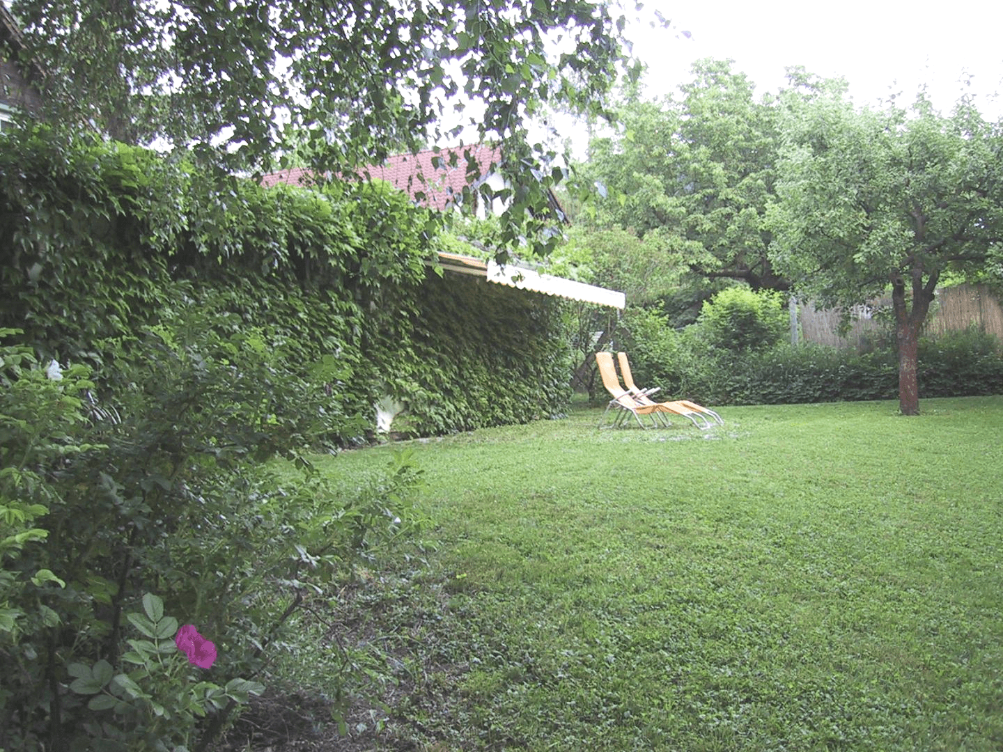 Slide 2