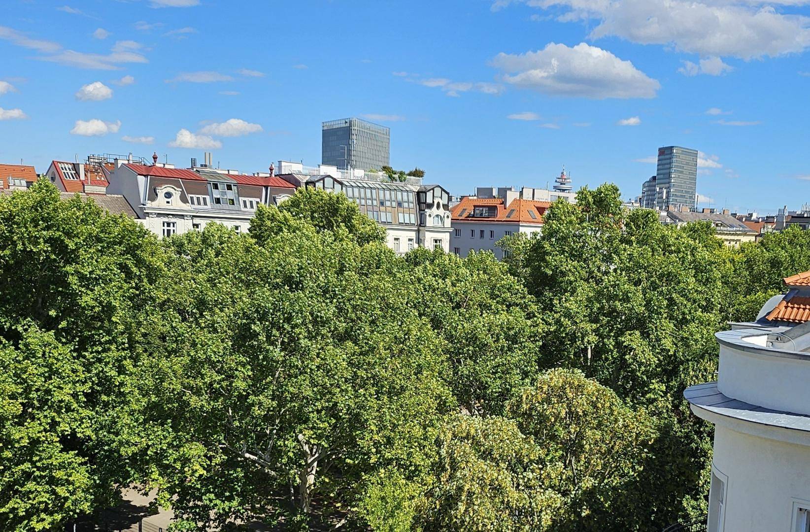 Blick zum Park, zum Teil auch mit Hunde begehbar!