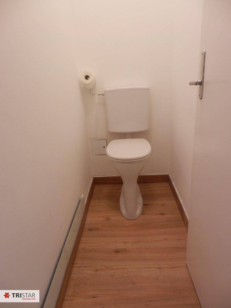 Kleines, separates WC mit weißer Toilette und hellem Holzfußboden, ideal für Gäste.
