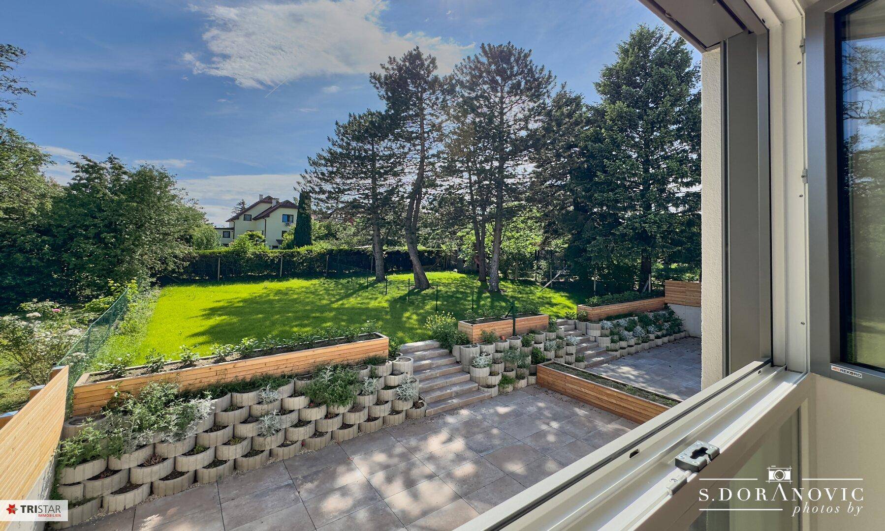 Ausblick aus dem Fenster auf den weitläufigen Garten mit Rasen und terrassierten Pflanzbereichen.