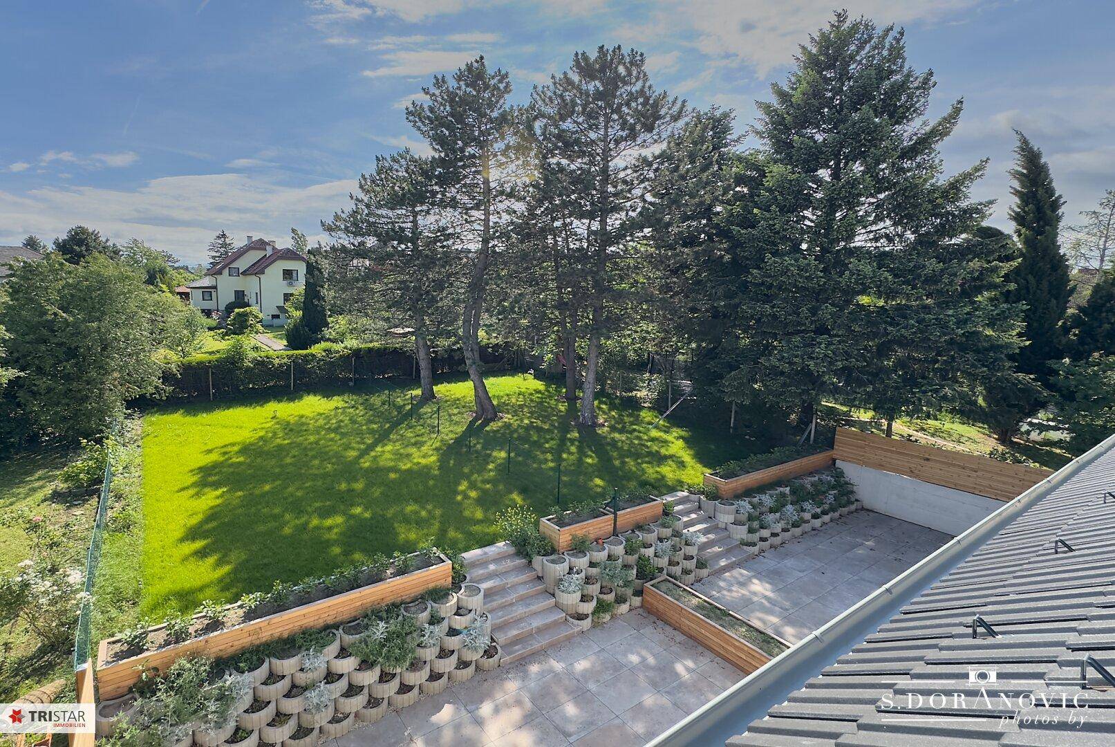 Weitläufiger Gartenbereich mit Rasenfläche, terrassierten Beeten und sonniger Terrasse.