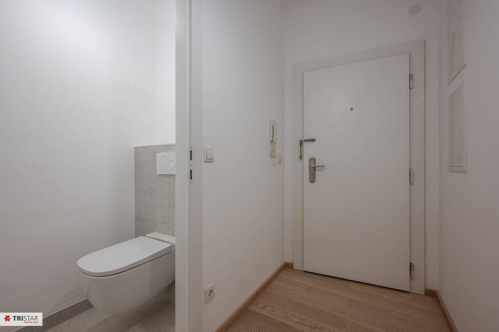 Modernes Gäste-WC mit wandhängender Toilette und hellem Holzfußboden im Eingangsbereich.
