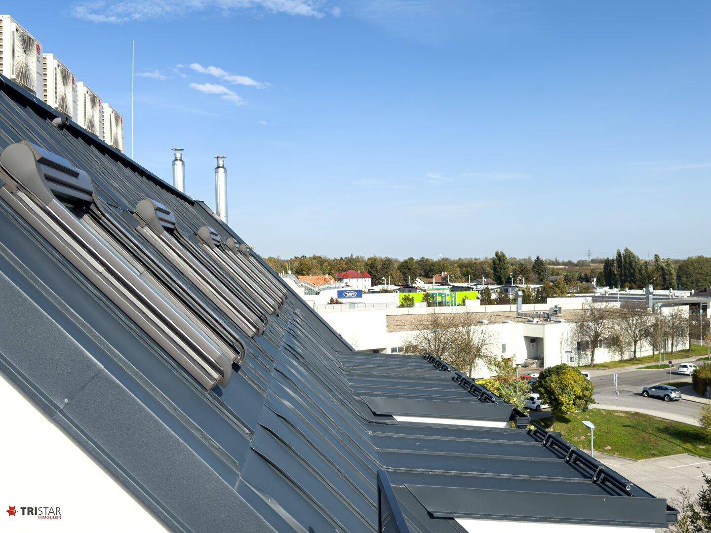 Modernes Dach mit zahlreichen Dachfenstern und Blick auf die Umgebung.