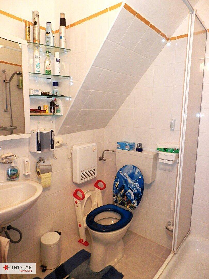 Kleines Badezimmer mit Dusche, WC und Waschbecken unter der Dachschräge.