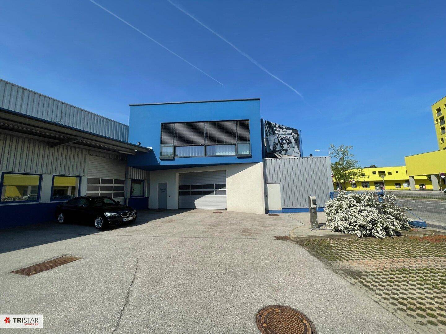 Neuwertiges Betriebsobjekt in Wien: 1377m², 10 Zimmer, vielseitige Nutzung! - Ansicht 5