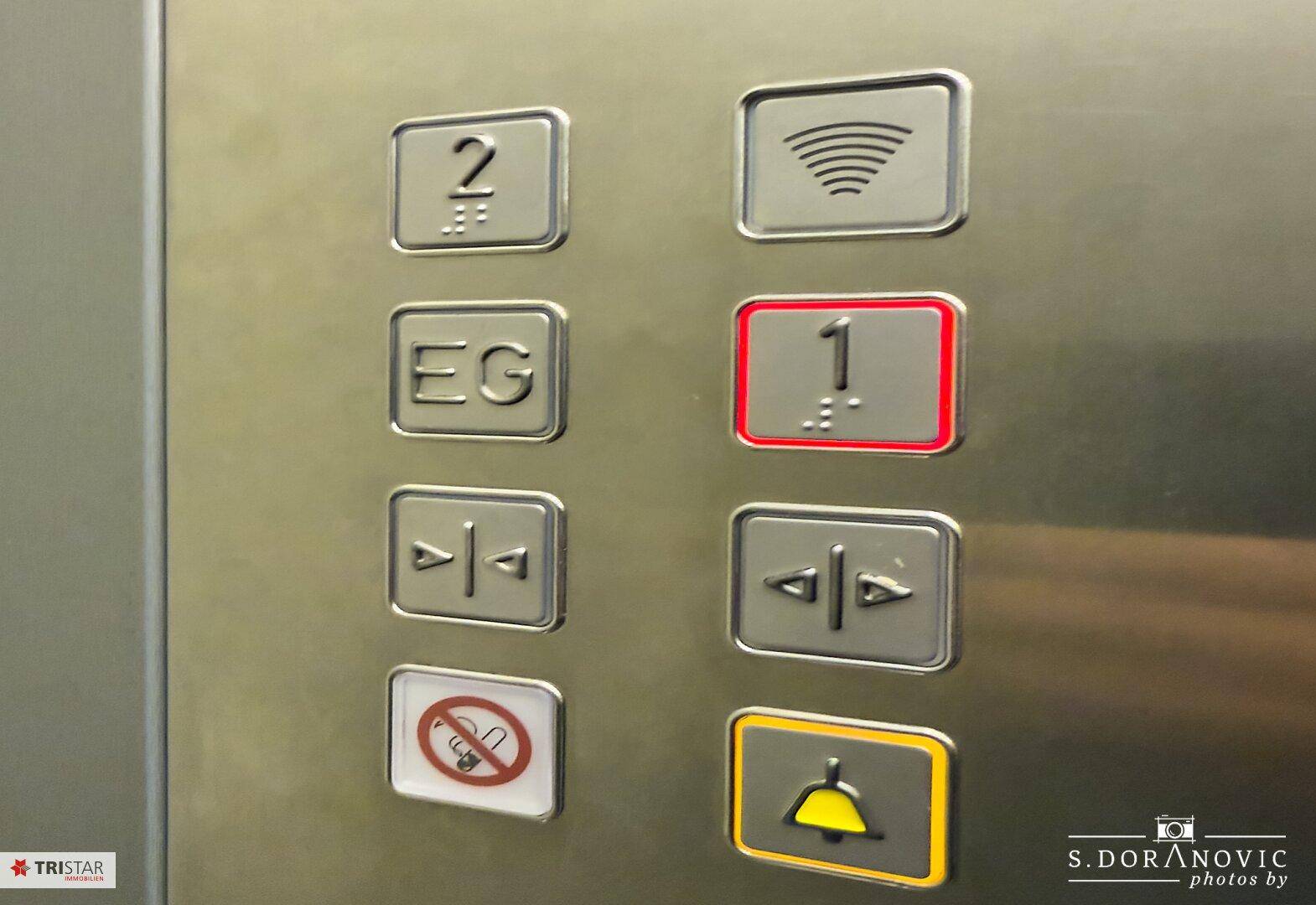 Slide 8