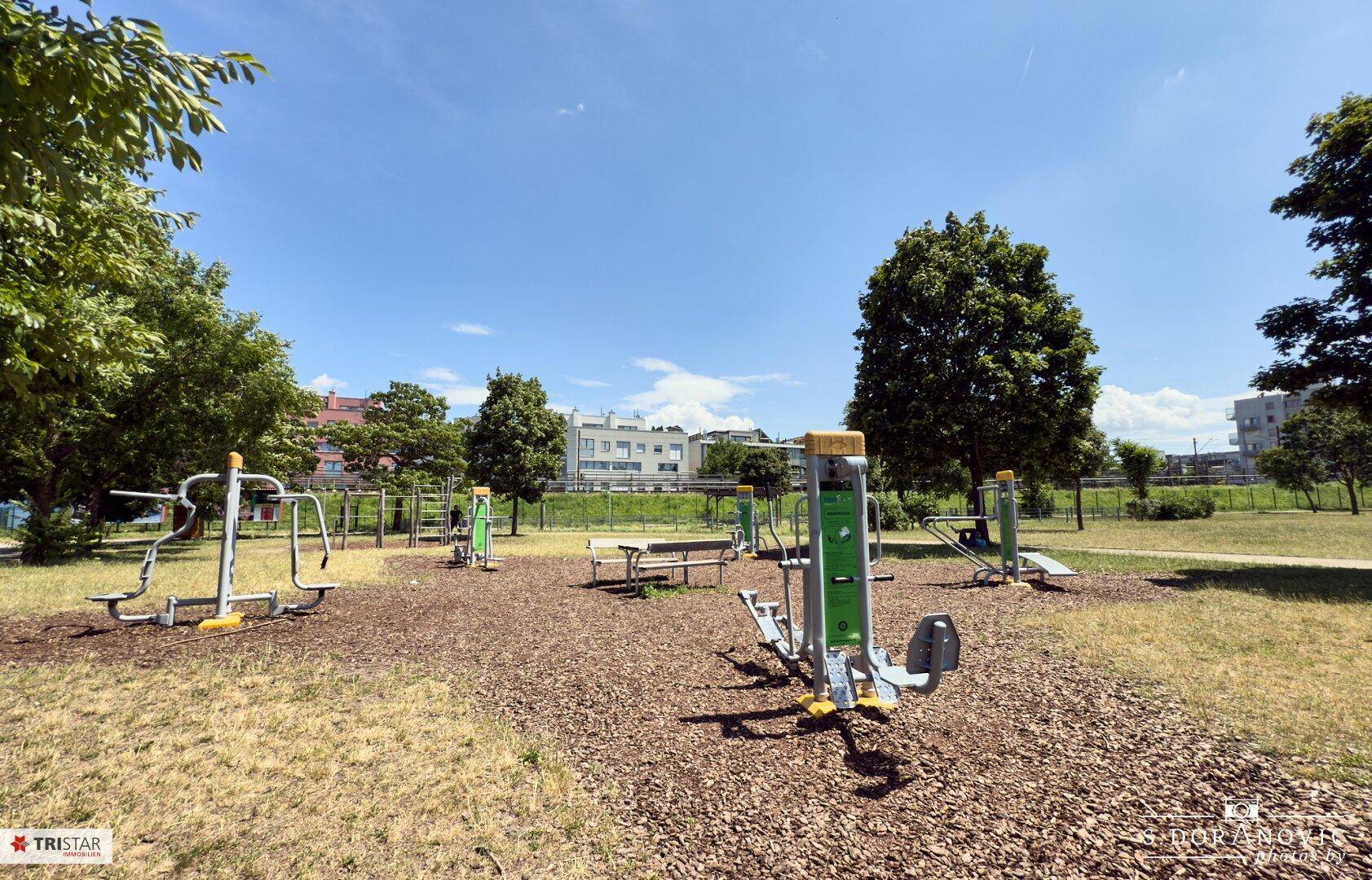 Ein Outdoor-Fitnesspark mit verschiedenen Trainingsgeräten inmitten einer grünen Wiese.