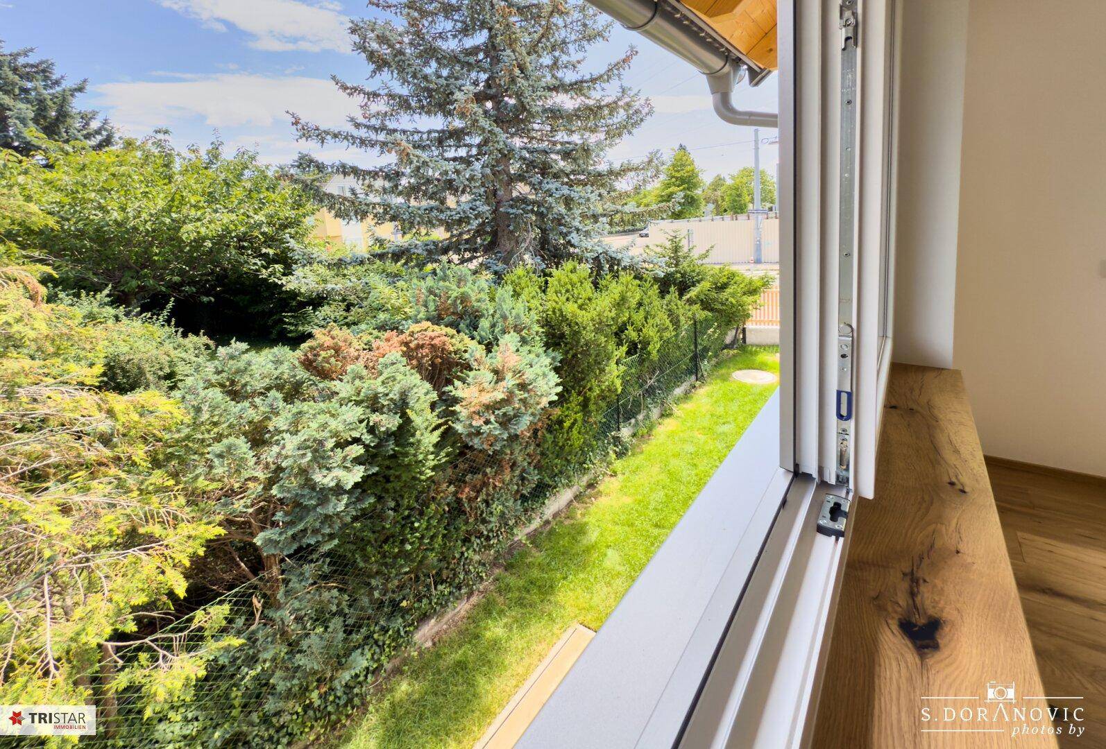 Blick aus einem Fenster auf einen gepflegten Garten mit viel Grün und hohen Bäumen.