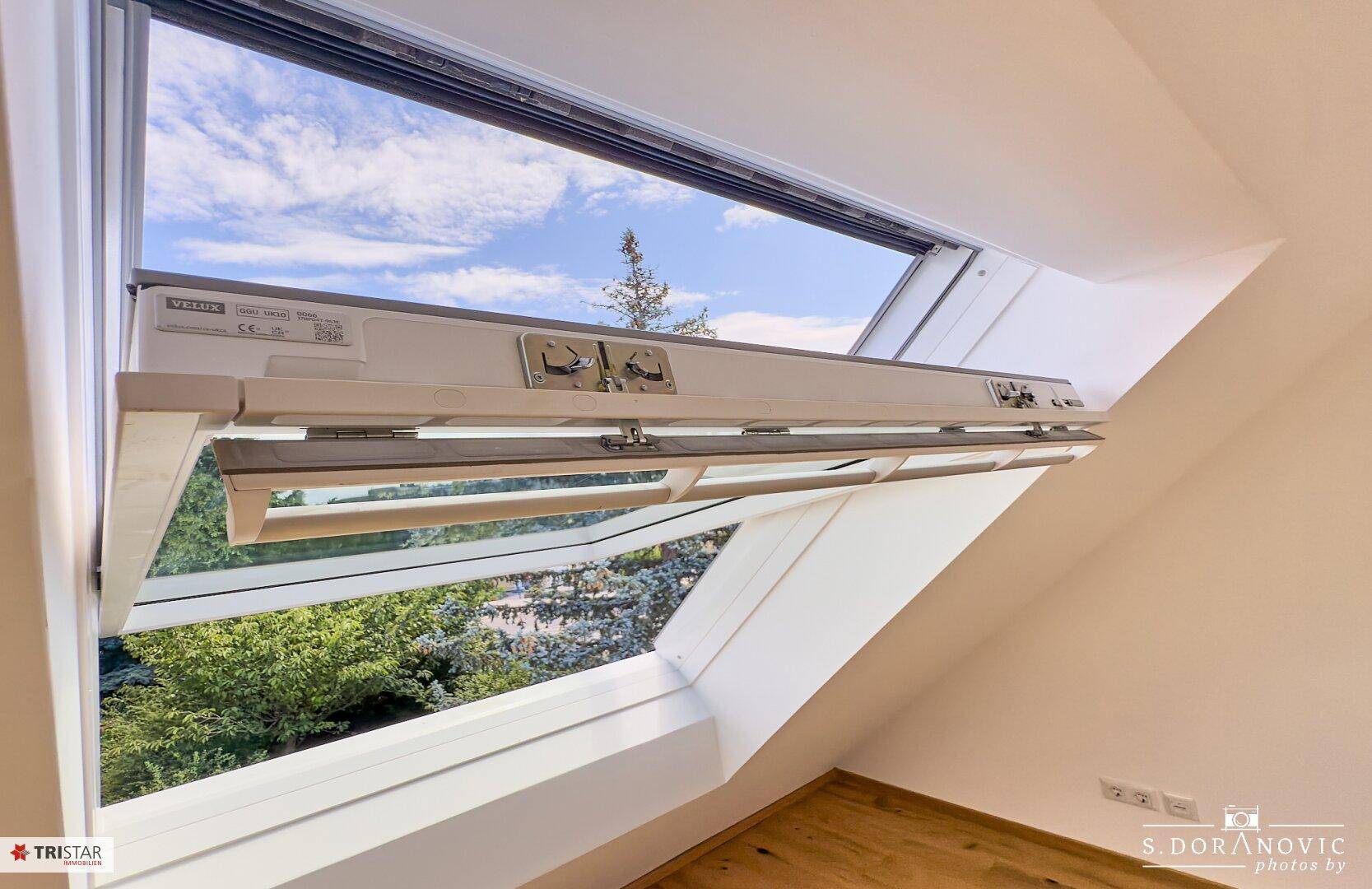 Dachfenster bietet einen weiten Blick auf den blauen Himmel und grüne Bäume.