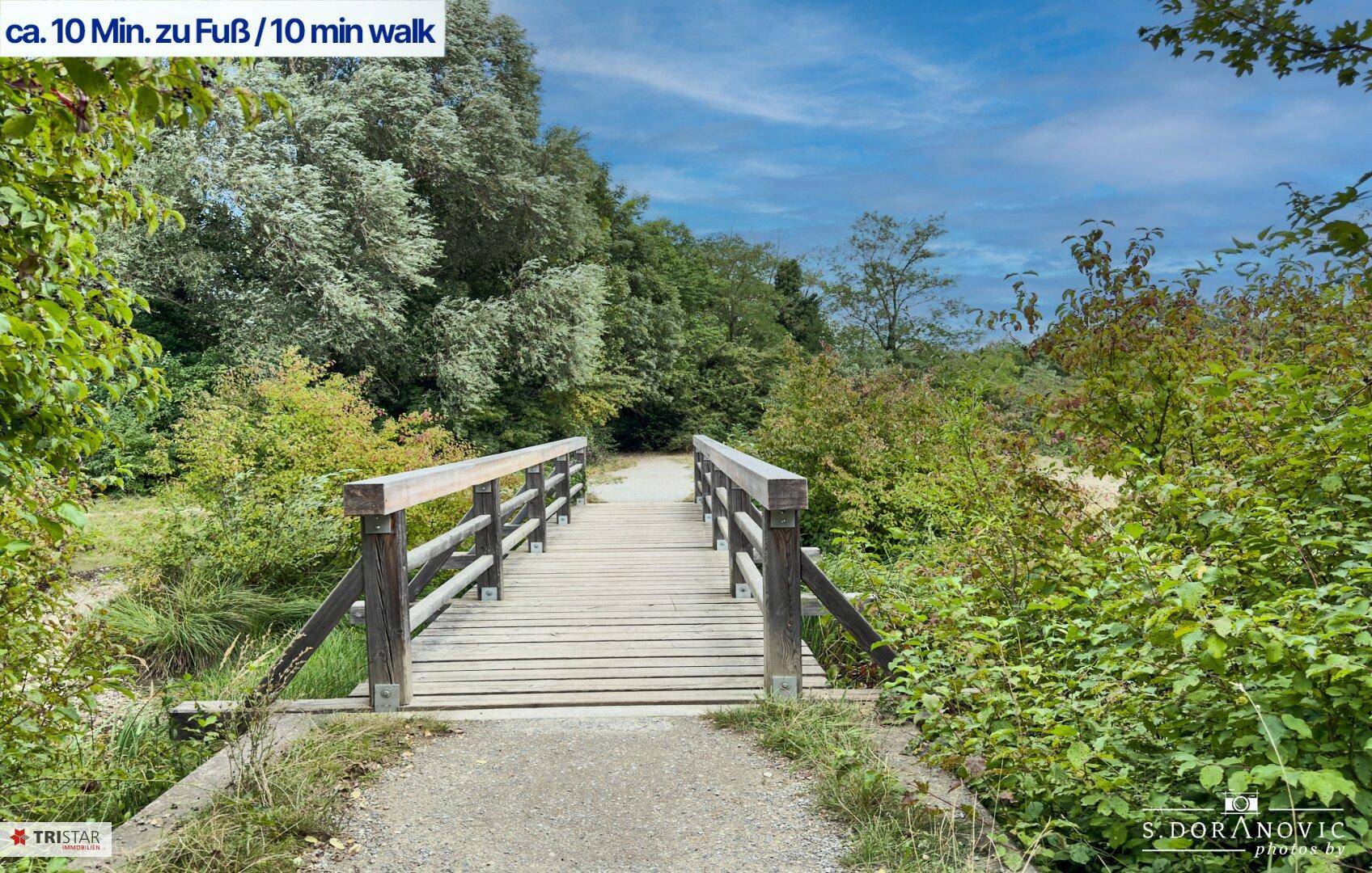 Holzbrücke über einen Weg, umgeben von dichter grüner Vegetation und Bäumen unter blauem Himmel.
