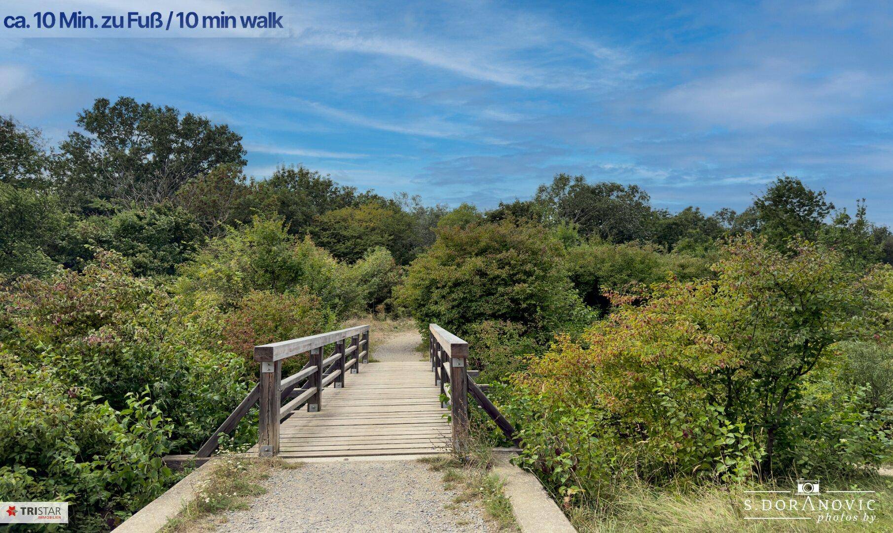 Holzbrücke in grüner Naturumgebung unter blauem Himmel, ideal für entspannte Spaziergänge.