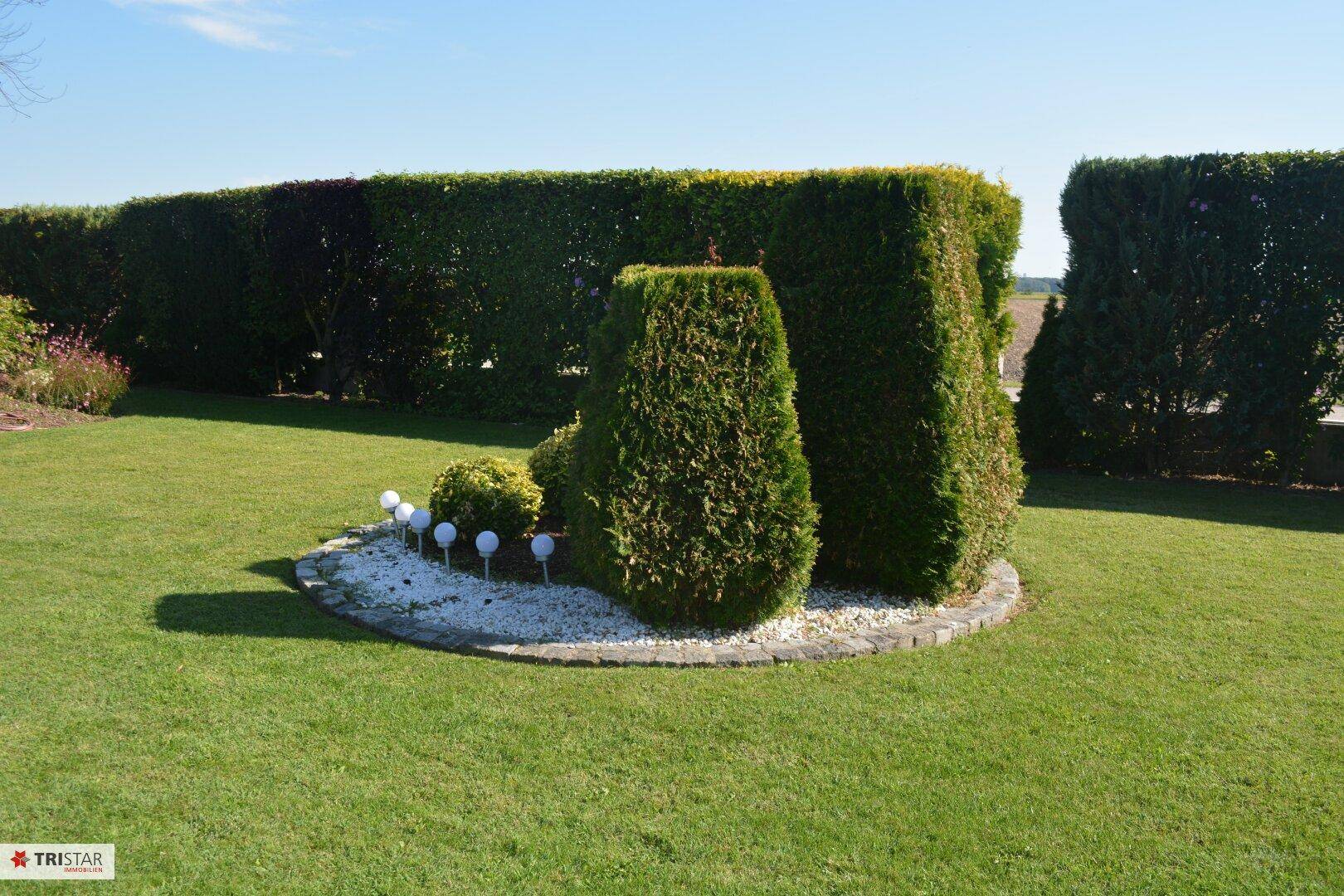 25 - Garten