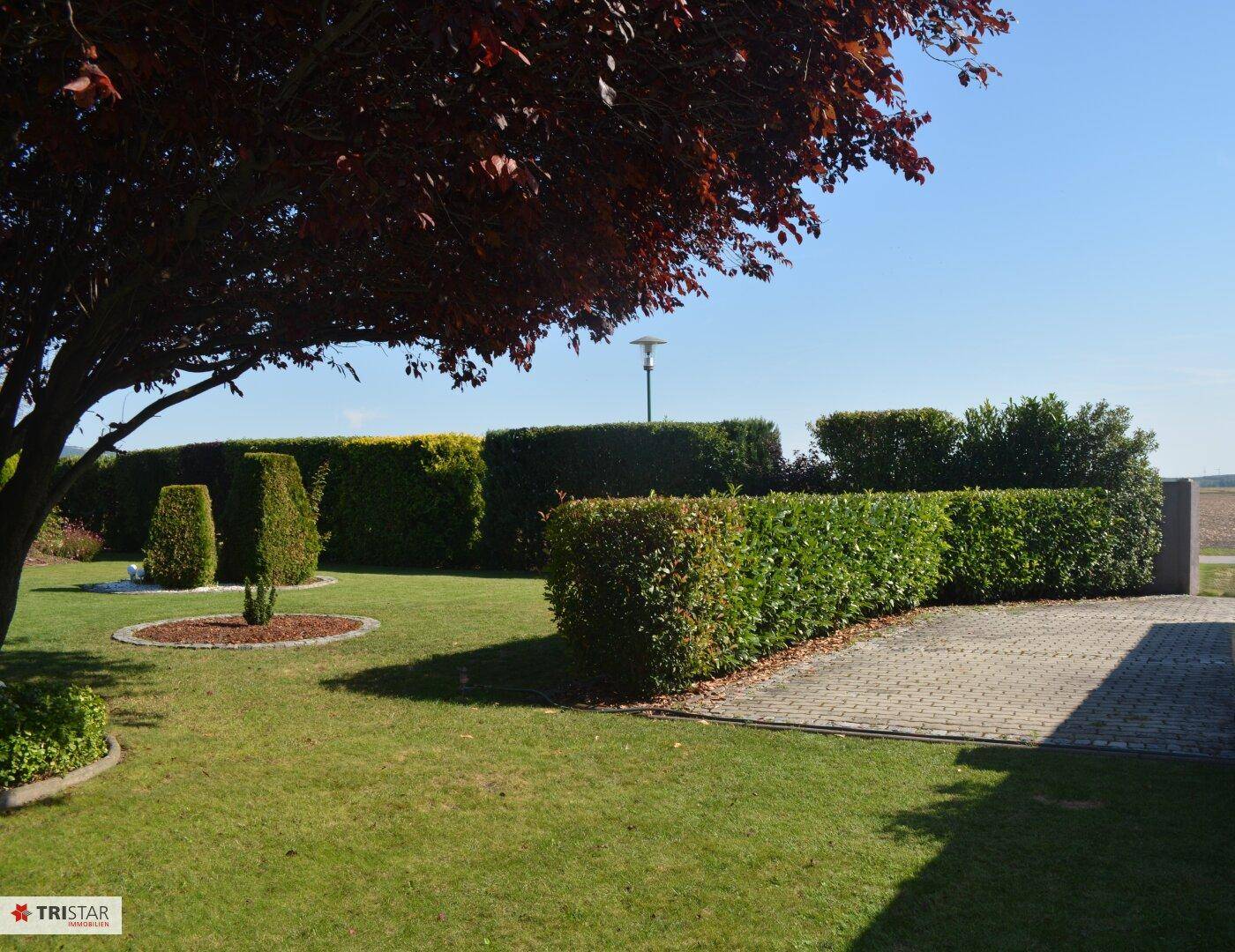 26 - Garten
