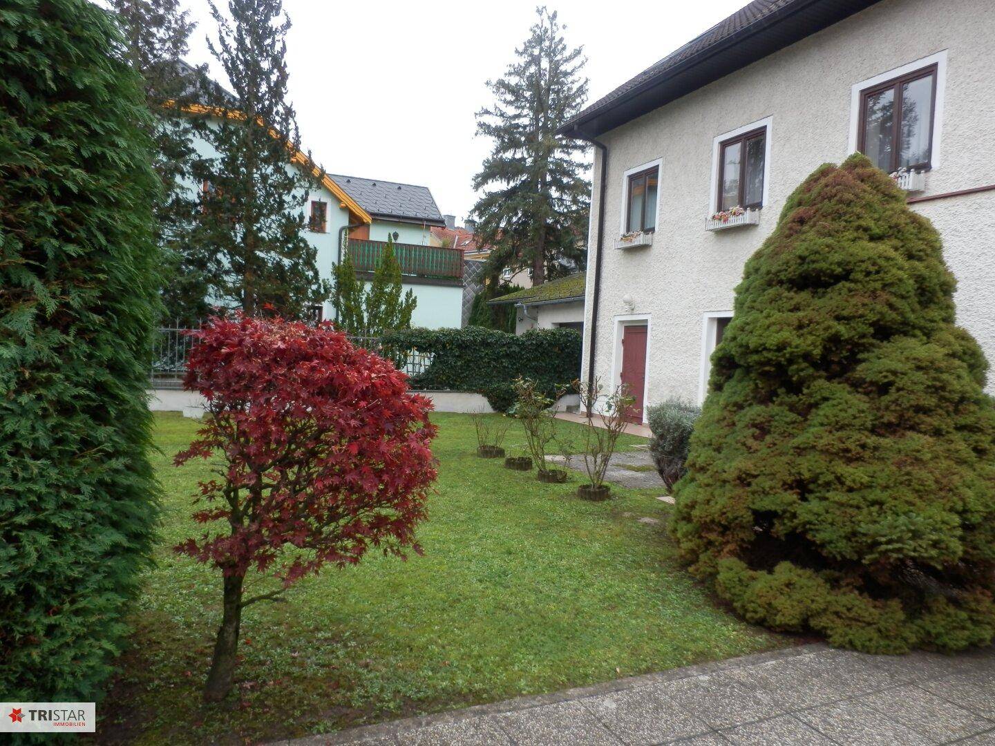 Gepflegter Gartenbereich mit Rasen, Bäumen und Hecken vor dem Haus.