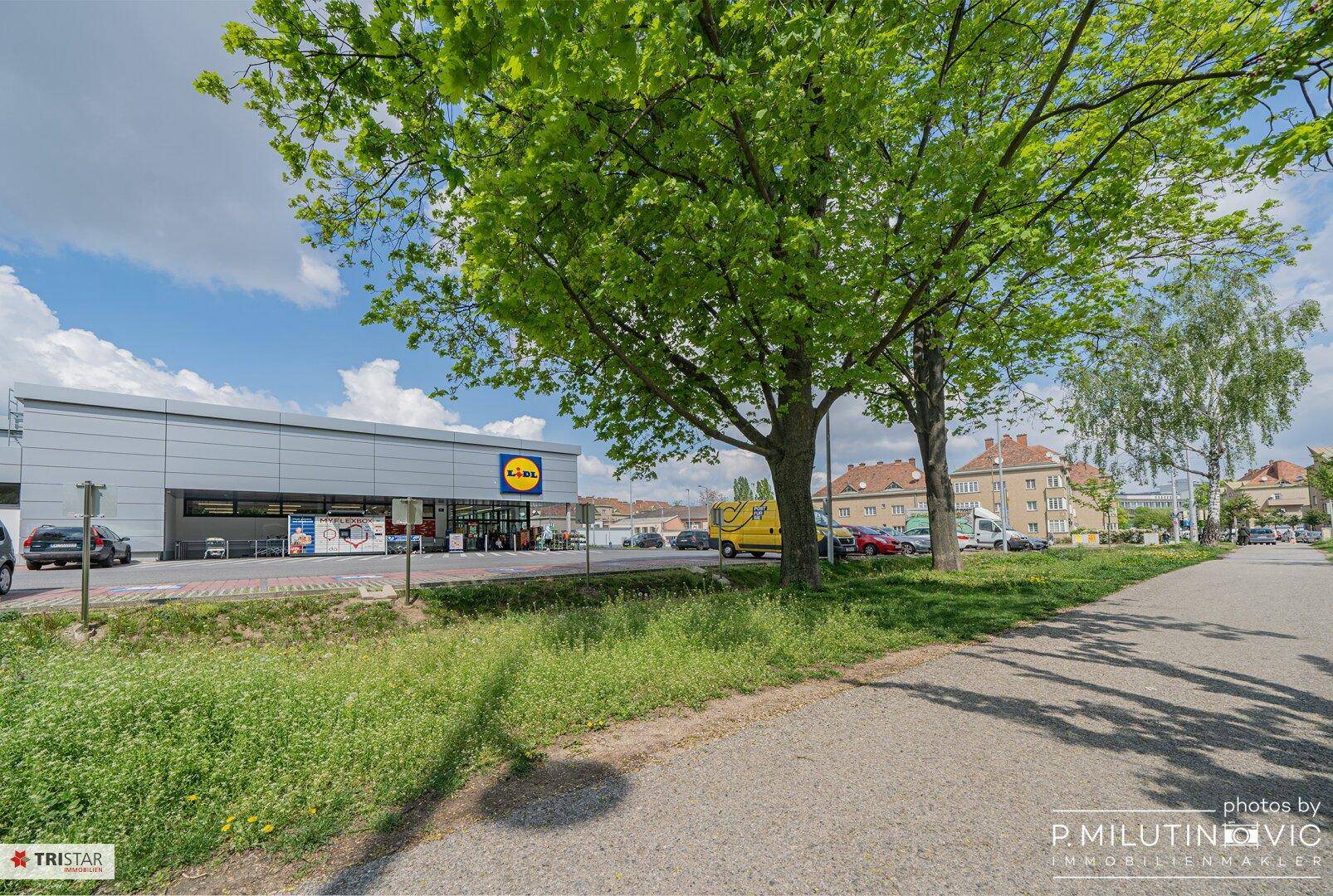 Lidl Supermarktgebäude von der Straße aus gesehen, umgeben von Bäumen und Grünflächen.