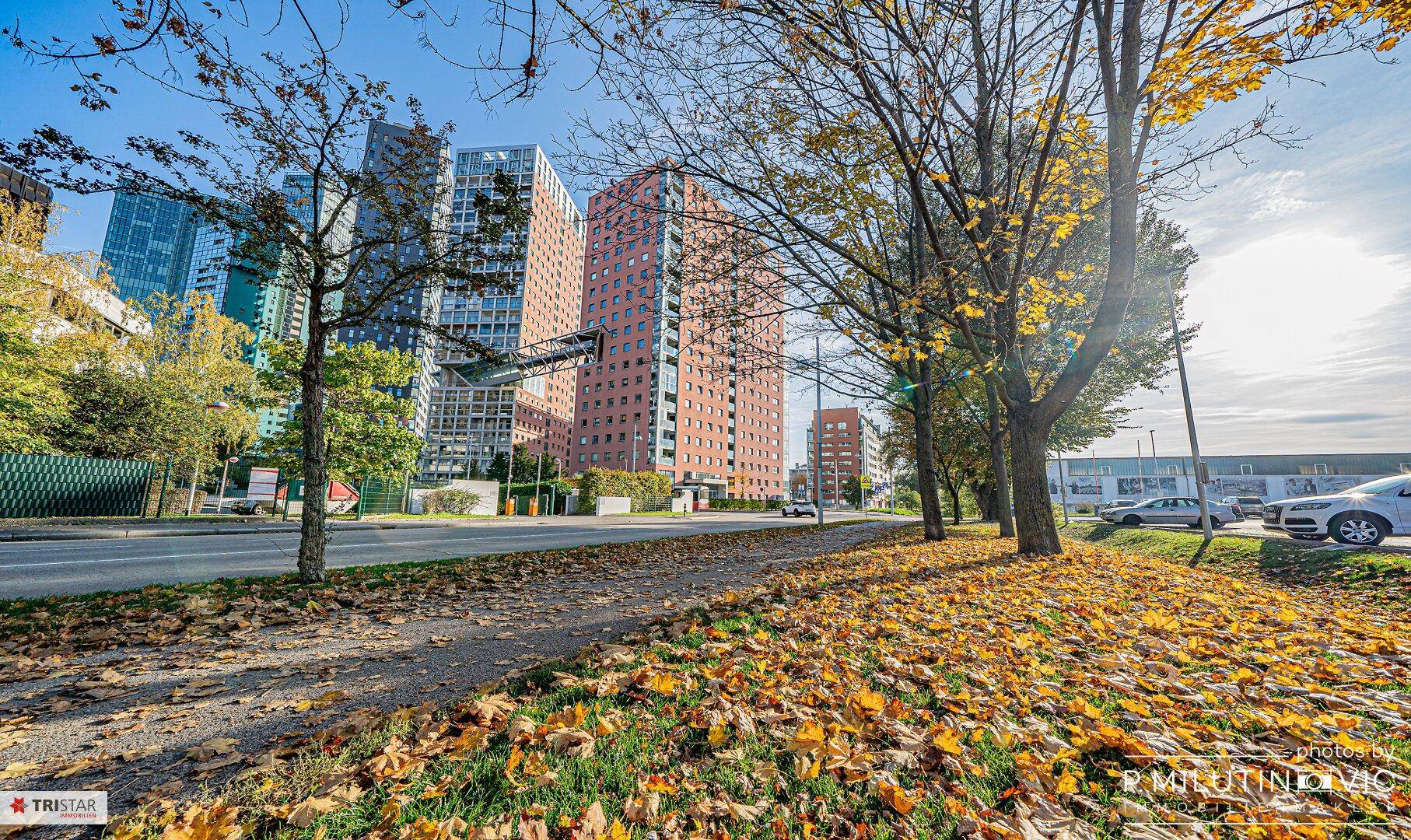 Herbstliche Straßenszene mit modernen Gebäuden und bunten Blättern am Boden.