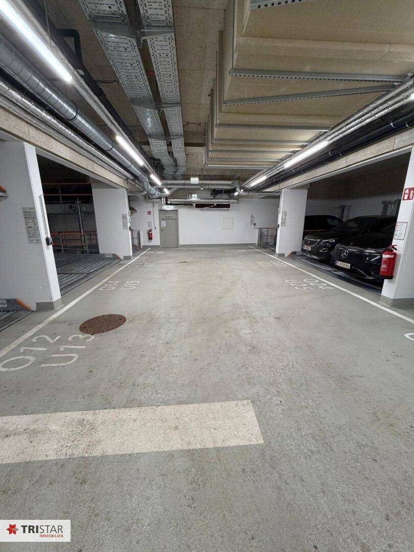 Geräumige Tiefgarage mit Betonboden, sichtbaren Installationen und mehreren Parkplätzen.