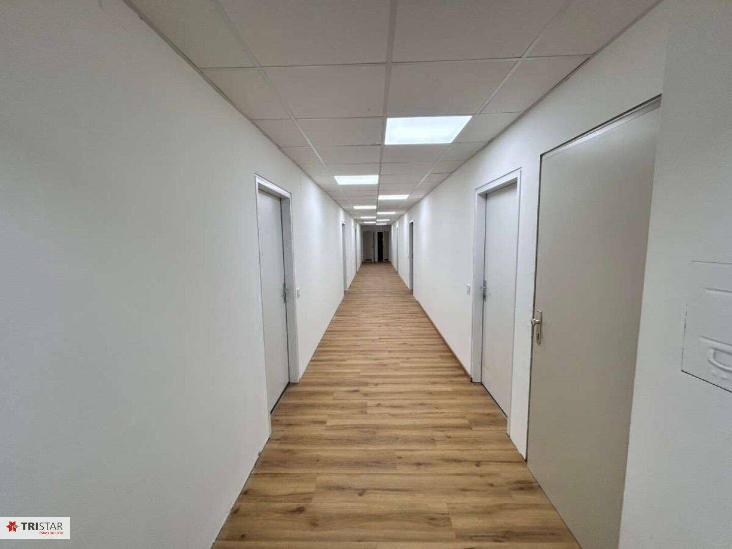 Langer, gut beleuchteter Flur mit Laminatboden und vielen Türen, der zu den Büros führt.