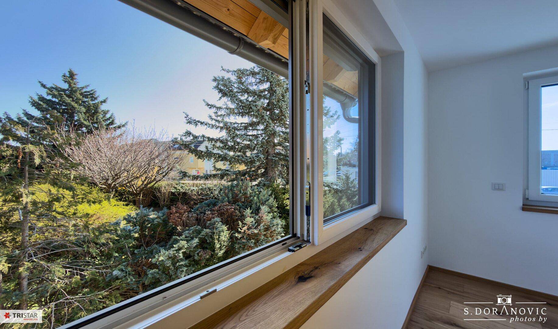 Fensterblick ins Grüne mit Bäumen und blauem Himmel.