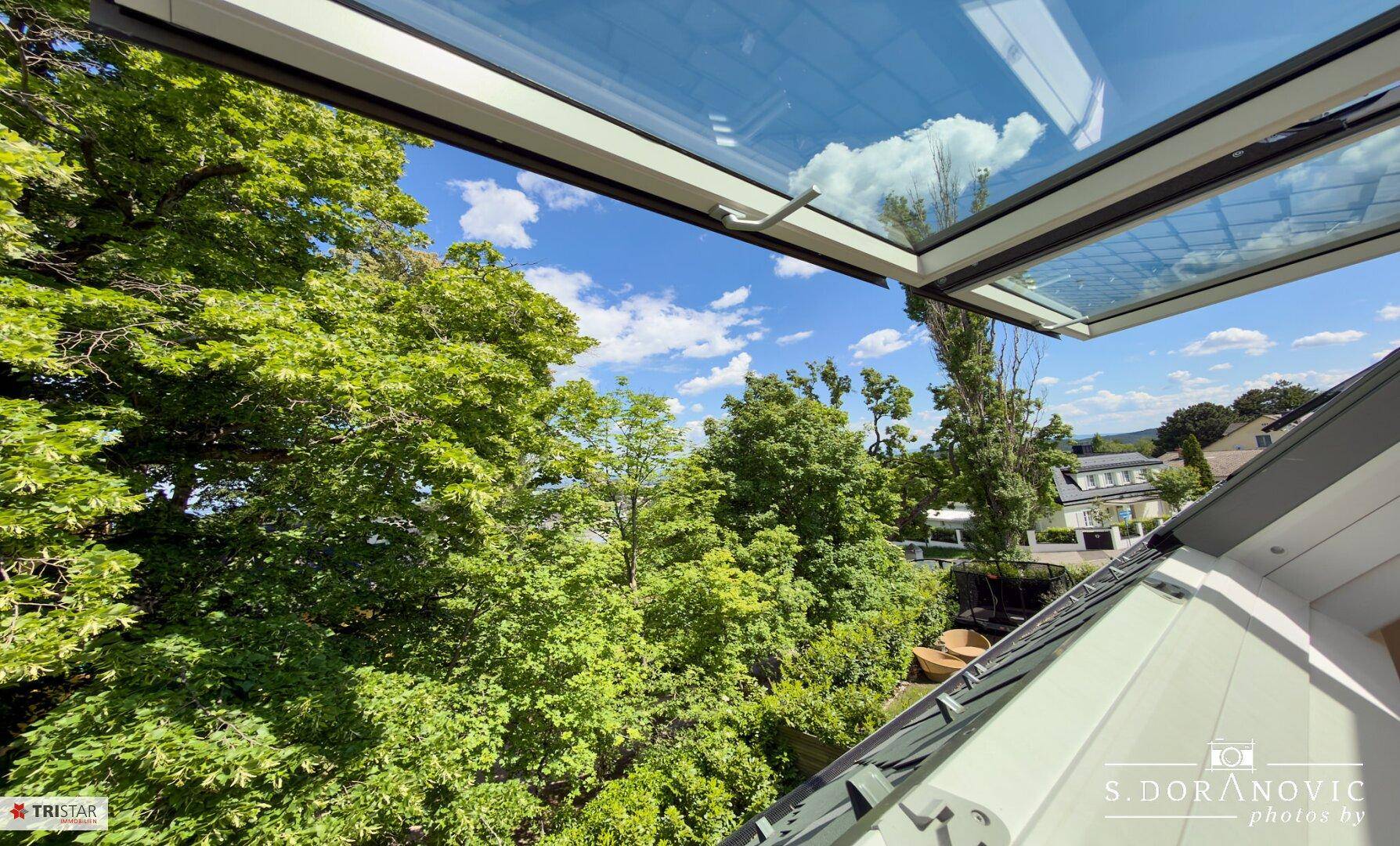 Malerischer Ausblick aus einem Dachfenster auf grüne Bäume und blauen Himmel.