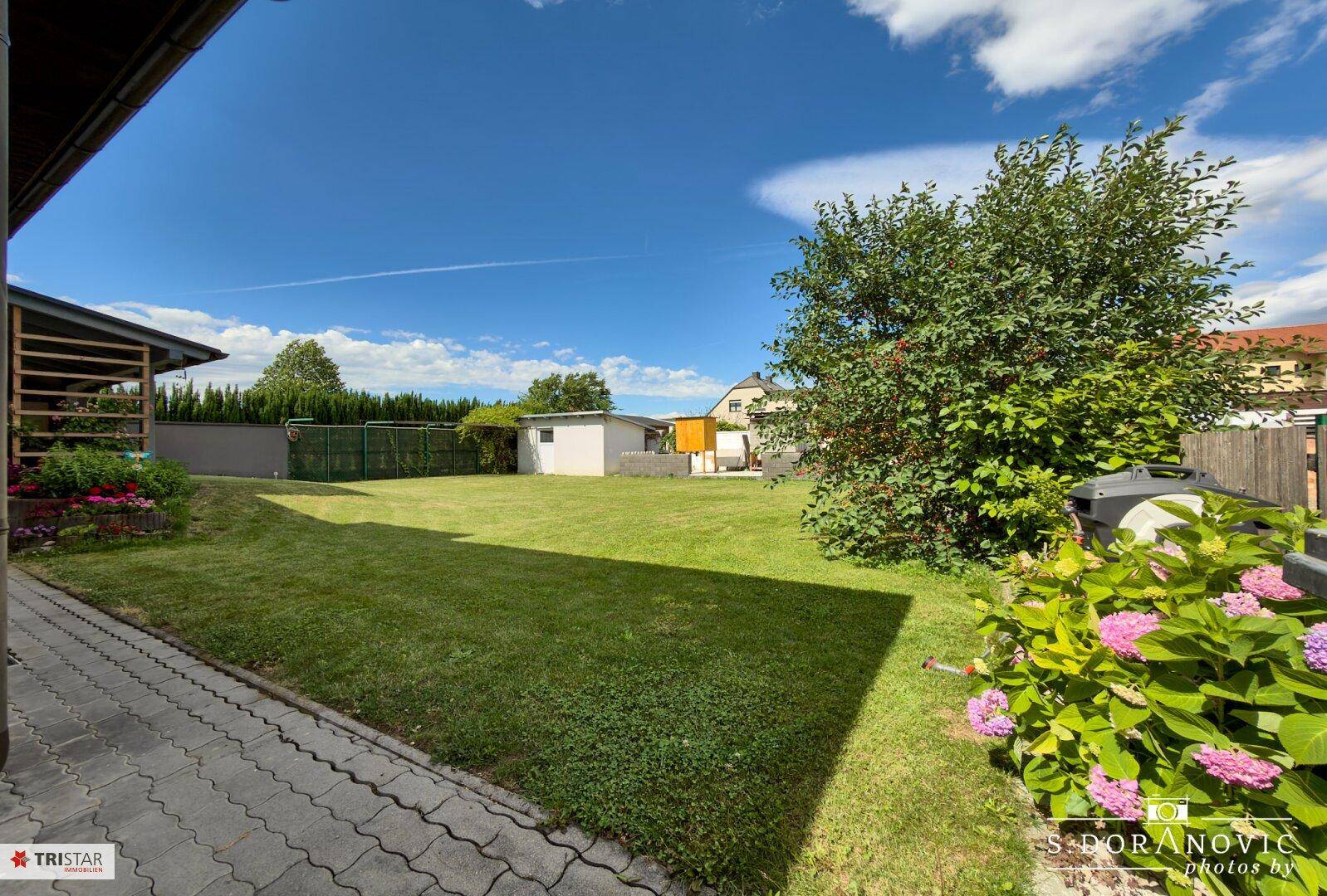 Gepflasterter Weg im Garten mit blühenden Hortensien und einer weiten Rasenfläche.