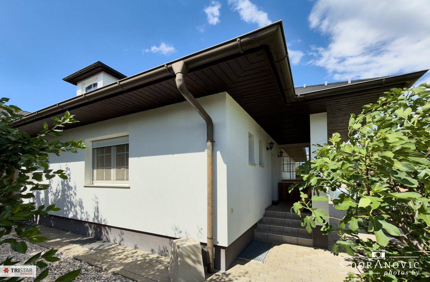 Seitlicher Eingangsbereich des Hauses mit Treppe und umgebenden Sträuchern.