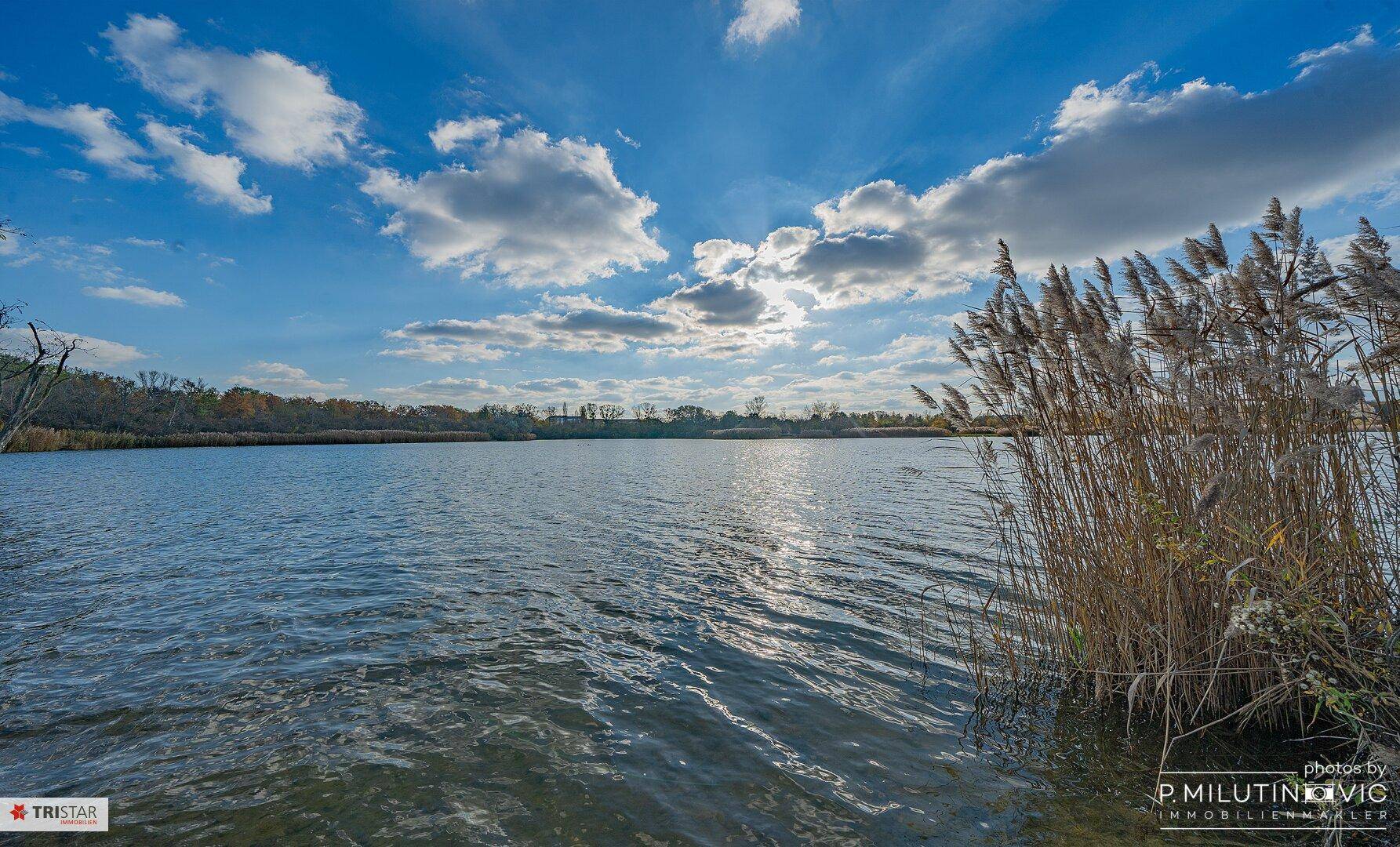 Ruhiger See mit Schilf am Ufer unter einem weiten blauen Himmel mit Wolken.