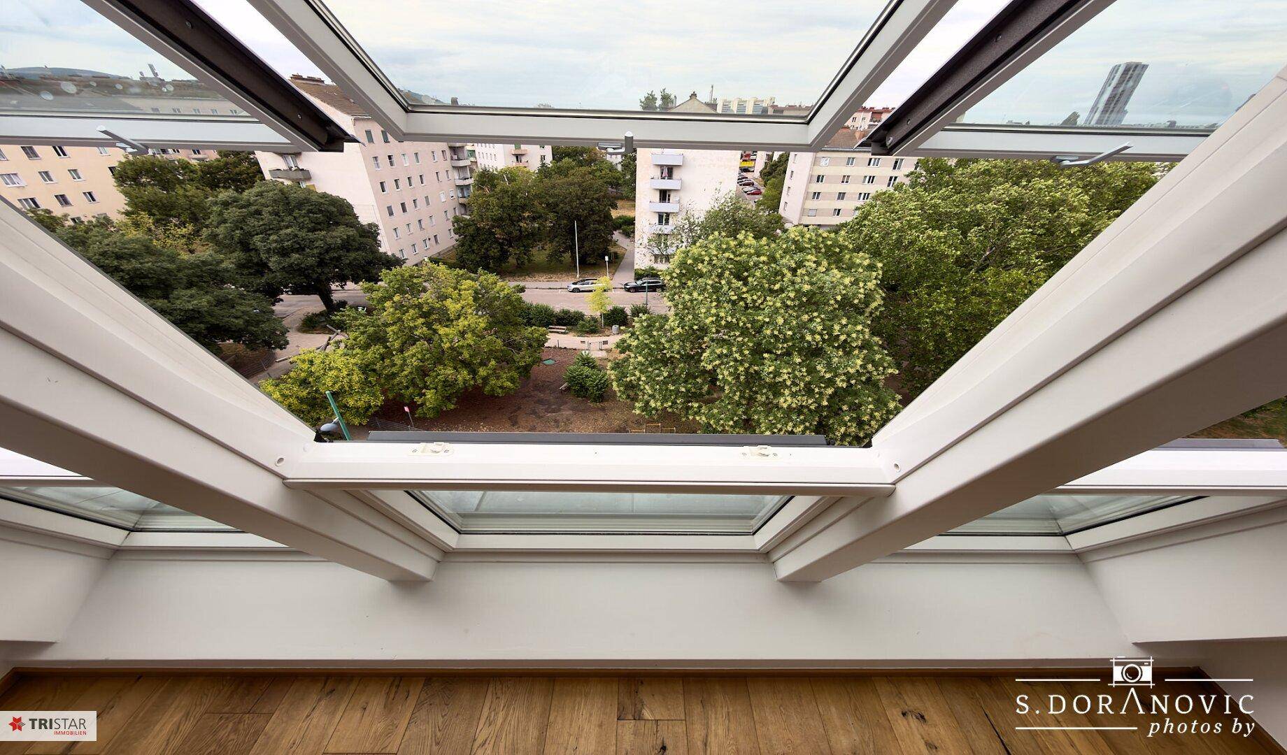 Ausblick aus großen Dachfenstern auf die umliegende Stadt und grüne Bäume.