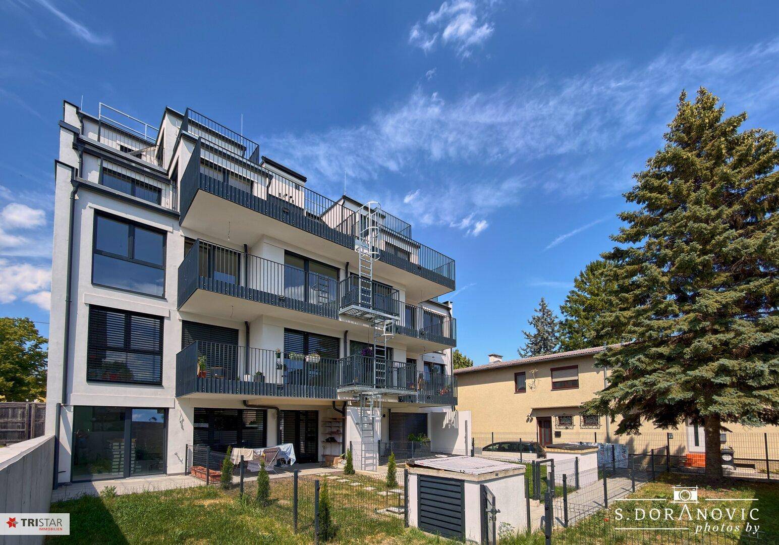 Modernes Apartmentgebäude mit mehreren Etagen, Balkonen und einem großen Nadelbaum im Vordergrund.